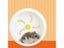 Hamster Running Toy Carousel 6