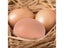 6/12PCS Hatching Egg Easter Hen Poultry Hatch Breeding Simulation Fake Plastic Carousel 7