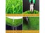 Artificial Turf Fake Grass Carousel 3