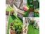 Artificial Turf Fake Grass Carousel 5
