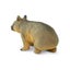Loading Image 4 of 4