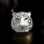 2022 Year Of The Tiger Rhinestone Brooch Brand Carousel 6