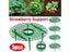 Strawberry Supports Keeping Plant Fruit Stand Vegetable Growing Rack Garden Carousel 3