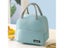 Camping Bag Food Thermal Box Cooler Lunchbox Outdoor Pic Bag Travel Box Carousel 6