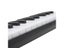 Accordion Strap Carousel 5