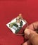 Craft Creations Christmas Foam Stamps Hanging Ornaments set of 6 GR15-16-Set C Carousel 3