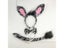Adults Kids Plush Cartoon Animal Zebra Ear Headband Hairband Tail Bow Birthday Carousel 2