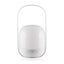 Portable Camping Lamp Mini Remote Control Atmosphere Lamp Bedroom Night Light Carousel 1