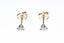 Classic 14k Yellow Gold 0.33ctw Round Brilliant Cut Diamond 3Prong Stud Earrings Carousel 1