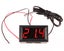 Thermometer Easy Read LED With External Probe Green Red or Blue Carousel 6