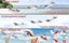 Remote Control Plane,3 Channel RC Airplane,2.4GHz RTF Aircraft,Surface Navigatio Carousel 6