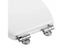 Zinc Alloy Toilet Seat Hinge Flush Toilet Cover Mounting Connector Toilet Lid Carousel 3