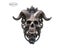 Hell Demon Horned Skull Door Knocker Retro Skeleton Head Gothic Resin Stant Carousel 4