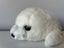 Vintage Russ White Seal Plush Soft Toy (PING/AFTERPAY) Carousel 7
