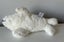 Vintage Russ White Seal Plush Soft Toy (PING/AFTERPAY) Carousel 8