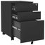 vidaXL Mobile File Cabinet Anthracite 39x45x60 cm Steel Carousel 5