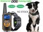 PTN NEW Dog Training Collar Sale - Sale Carousel 1