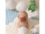 Dog Clothes Pet Clothes Carousel 4