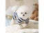 Dog Clothes Pet Clothes Carousel 5