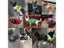 New Warm Pet Clothing For Dog Clothes For Dog Coat Jacket Winter Puppy Pet Carousel 3