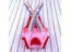 Dog Pants Dog Diaper Carousel 5