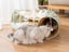 Cat Bed Tunnel Foldable Carousel 3