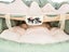 Cat Bed Tunnel Foldable Carousel 7