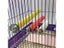 Wood Bird Claw Beak Grinding Bar Standing Stick Parrot Station Pole Parrot Carousel 4