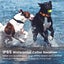 New Dog Training Collar Carousel 5