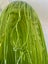 Beautiful vintage Large Art Glass Hand Blown Vase Carousel 6