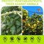 Anti Bird Netting 5X10m Mesh Net Commercial Fruit Tree Pond Protect Cover Carousel 5