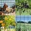 Anti Bird Netting 5X10m Mesh Net Commercial Fruit Tree Pond Protect Cover Carousel 8