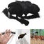 5X20m Black Anti Bird Netting Pest Net Commercial Fruit Tree Pond Plant Mesh Carousel 1