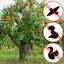 5X20m Black Anti Bird Netting Pest Net Commercial Fruit Tree Pond Plant Mesh Carousel 6