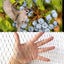 Bird Netting Net Anti Pest Commercial Fruit Trees Plant 5X30m Mesh Black Carousel 2