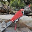 Fishing Rod Holder Automatic Spring Tip-Up Hook Setter Pole Tackle Bracket Carousel 7