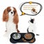Dog Bowls Double Stainless Steel Pet Bowls No-Spill Silicone NEW Carousel 3