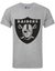 NFL Grey Short Sleeved T-Shirt (Mens) Carousel 2