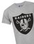 NFL Grey Short Sleeved T-Shirt (Mens) Carousel 3