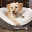 DOG BED SCRUFFS DONUT DOG BED MEDIUM 55cm GREY Carousel 4