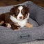 DOG BED SCRUFFS MANHATTAN BOX BED GREY MEDIUM Carousel 4