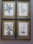 4 x vintage NZ native plant prints from TasmanGallery (Chch) Carousel 1