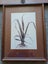 3 x vintage NZ native plant prints from Tasman Gallery (Chch) Carousel 4