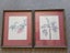 2 x vintage NZ native plant prints from Tasman Gallery (Chch) Carousel 1