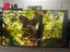 MASSIVE LG 98" UHD Digital Signage Display, 500nit , 24x7 usage Carousel 6