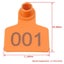 Loading Image 2 of 4