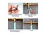 Hose Clamp Set Carousel 7