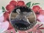 1978 Cook Islands $5 Large Silver Proof Coin On First Day Cover - Lot K953 Carousel 4