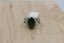 Stg Silver Ring with Greenstone Carousel 1