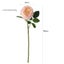 Austin Feel Moisturizing Rose High Imitation Rose High Imitation Carousel 7